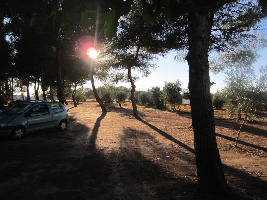 Rurales Caleras