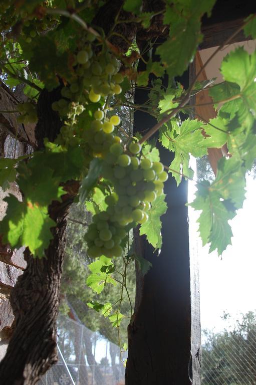 Rurales Caleras Apartment *